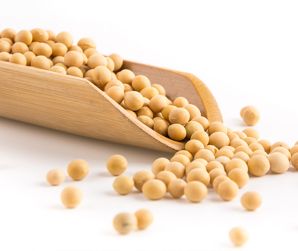 Lecithin 1200mg