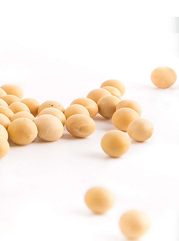 Lecithin 1200mg